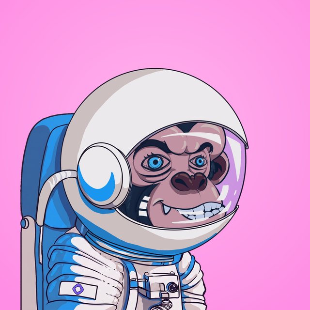 Astronaut Maxi