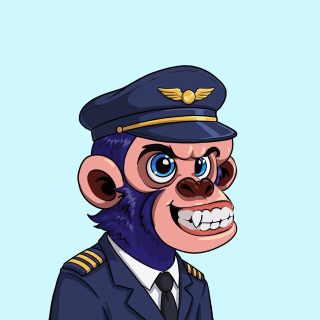 Pilot Maxi